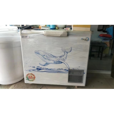 伊萊瑞特冷凍冰箱